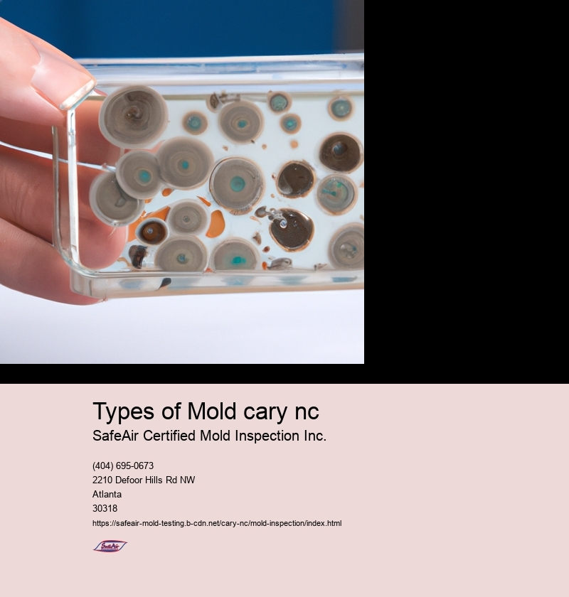 Common types of mold found in Cary, NC