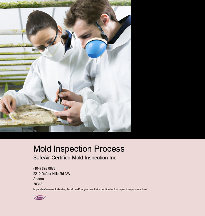 Mold Inspection Process
