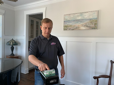 Importance of professional mold remediation services