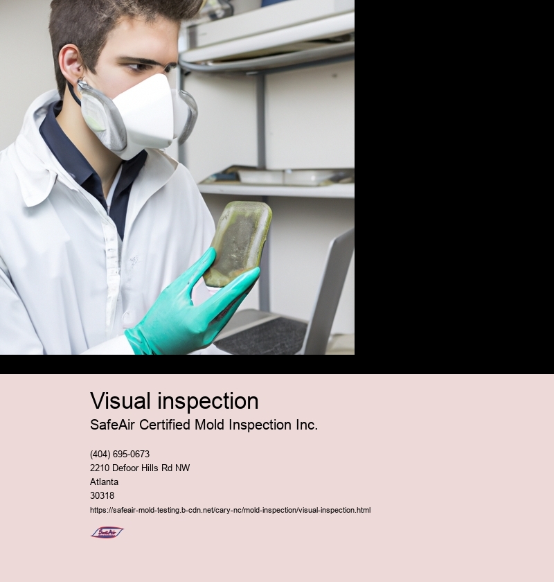 Visual inspection